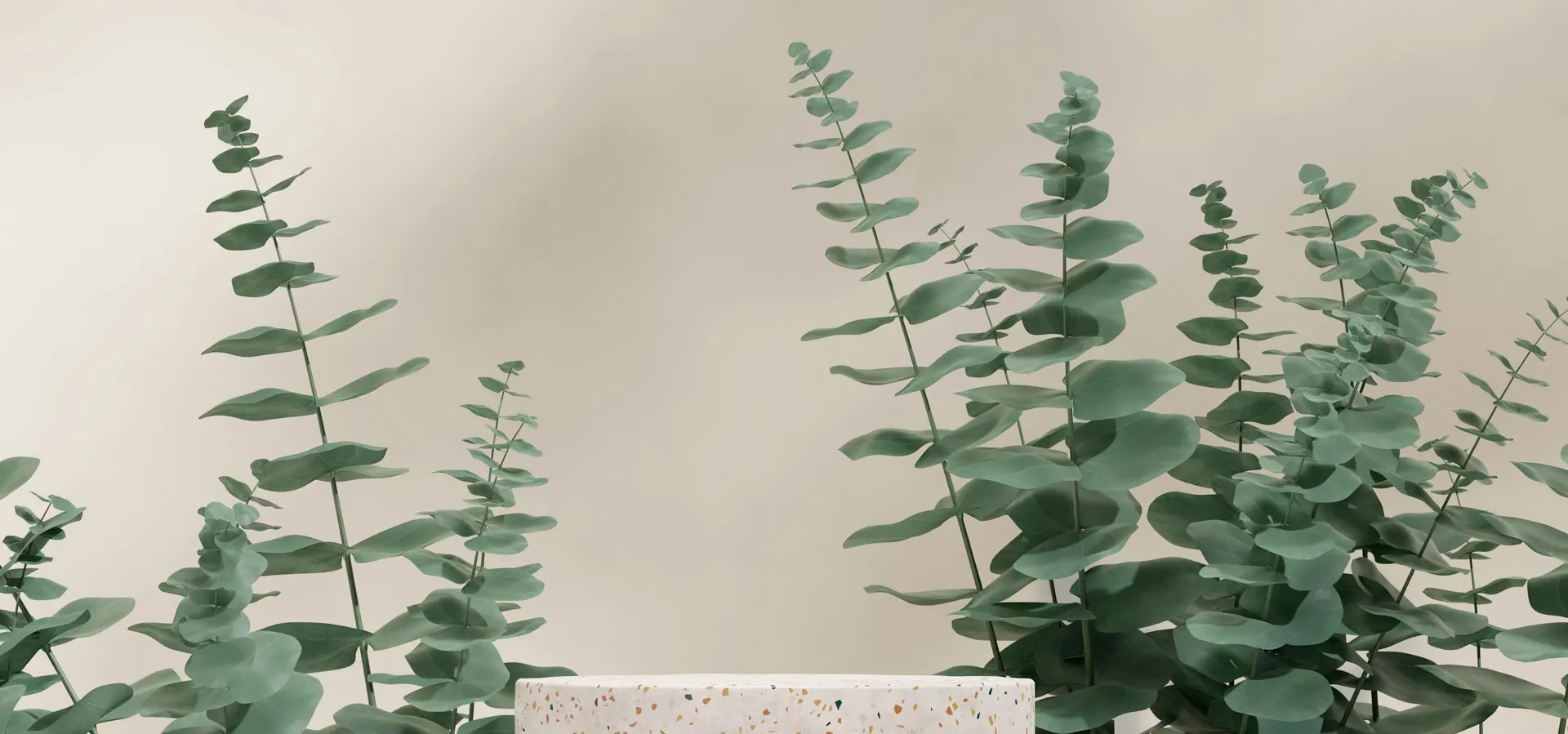 Pieobom Clinic Gangnam — image from the clinic's website